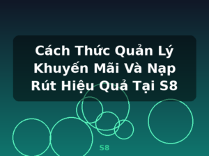 Cách Thức Quản Lý Khuyến Mãi Và Nạp Rút Hiệu Quả Tại S8 - S8